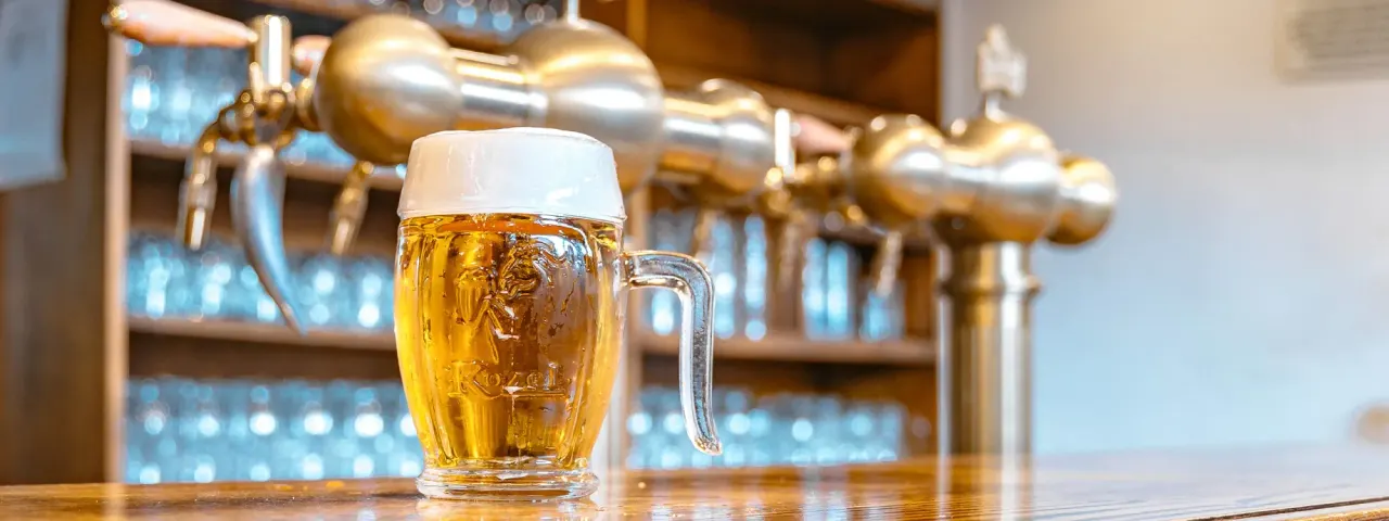 BookNoFees: Restoran – Kozel u Bohemky – Prague – Bohemka’nın yanındaki Kozel, fotoğraf 1