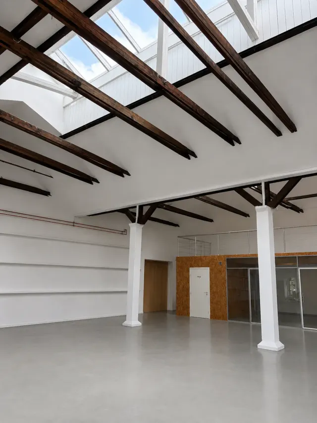 BookNoFees: Fırın – Flere Fugle – Copenhagen – Daha Fazla Kuş, fotoğraf 2