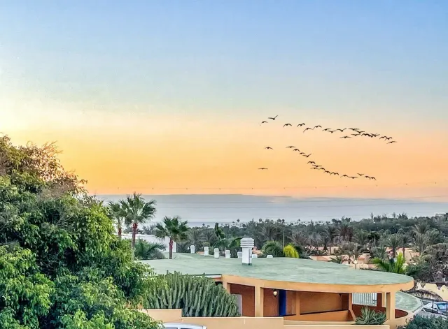 BookNoFees: Costa Calma'da deniz manzaralı ev – Costa Calma, Fuerteventura