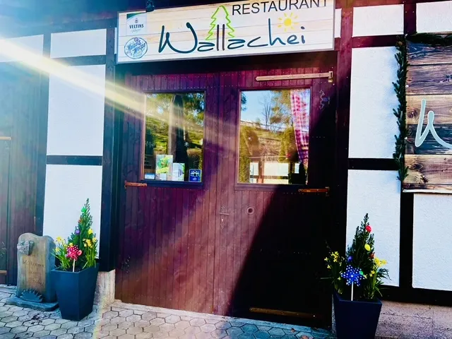 BookNoFees: Jausenstation Wallachei, Bad Berleburg
