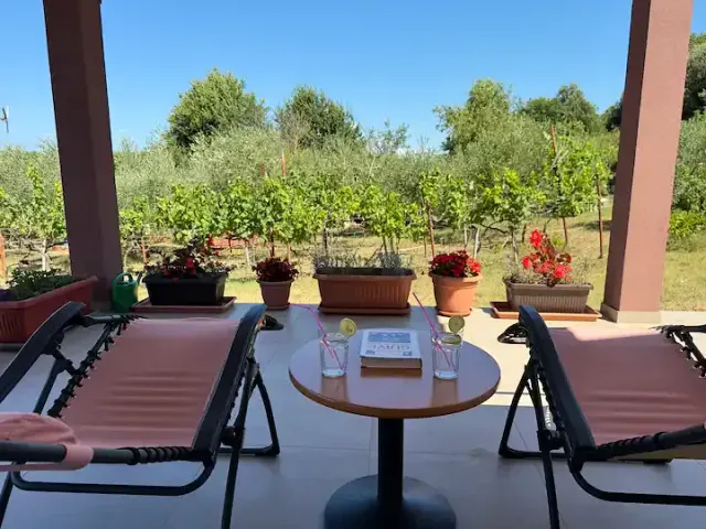 BookNoFees: Alisa’nın şirin evi: sakin bir konumda, merkezi ve yeni – Vinkuran