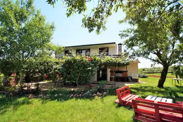 BookNoFees: Sandra Evi – Büyükler ve küçükler için tam bir rahatlama – Pula