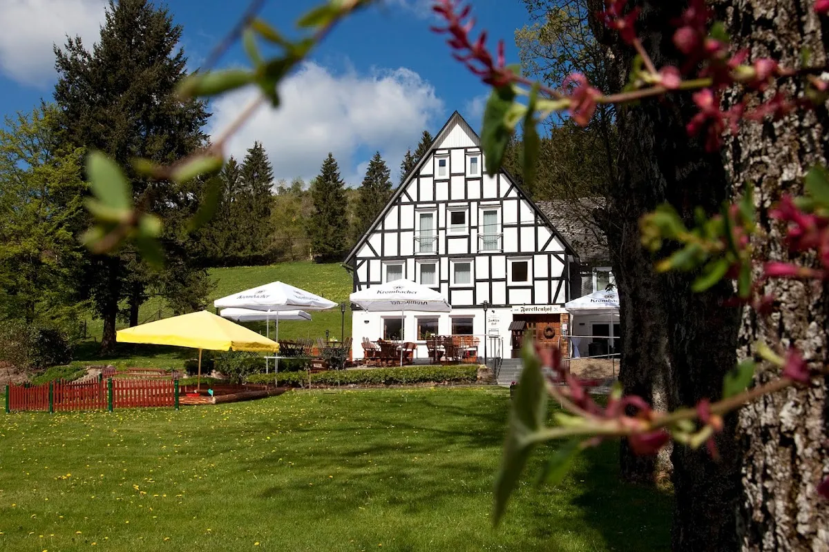 BookNoFees: Restoran – Forellenhof Boshof – Bad Berleburg – Boshof Alabalık Çiftliği, fotoğraf 1
