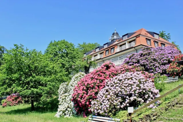 BookNoFees: "Doğa ve Sanat" Tatil Dairesi, Dresden, Saksonya İsviçre'si – Dresden