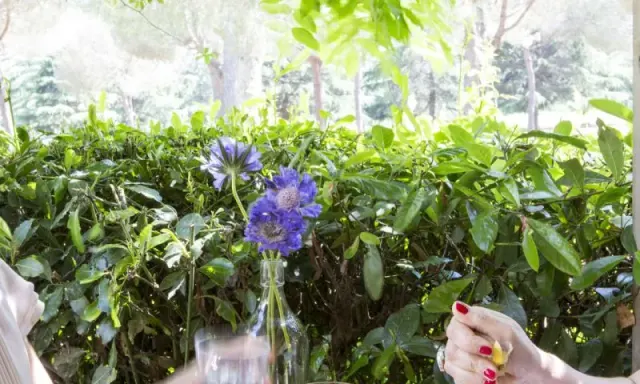 BookNoFees: Kafe – Vivi Villa Pamphilij – Rome – Villa Pamphilij'i Keşfedin, fotoğraf 2