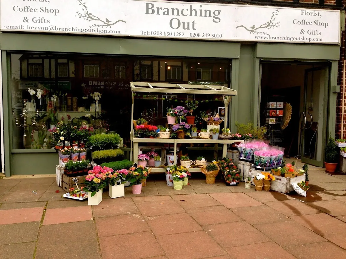 BookNoFees: Kafe – Branching Out – London – Yeni Alanlara Açılmak, fotoğraf 1