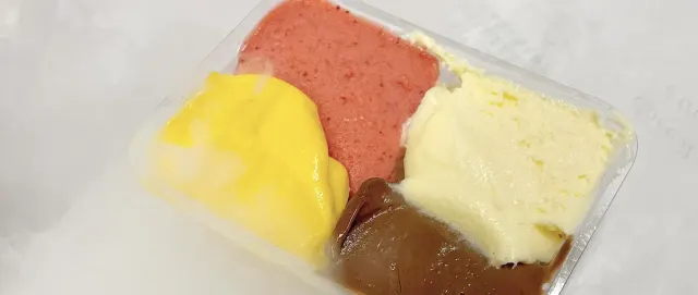 BookNoFees: Dondurma – Gelateria Fassi – Rome – Fassi Dondurma Dükkanı, fotoğraf 3