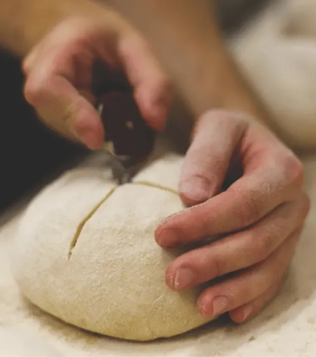 BookNoFees: Fırın – Triticum Micropanificio Agricolo – Rome – Triticum Küçük Tarım Ekmek Fabrikası, fotoğraf 3
