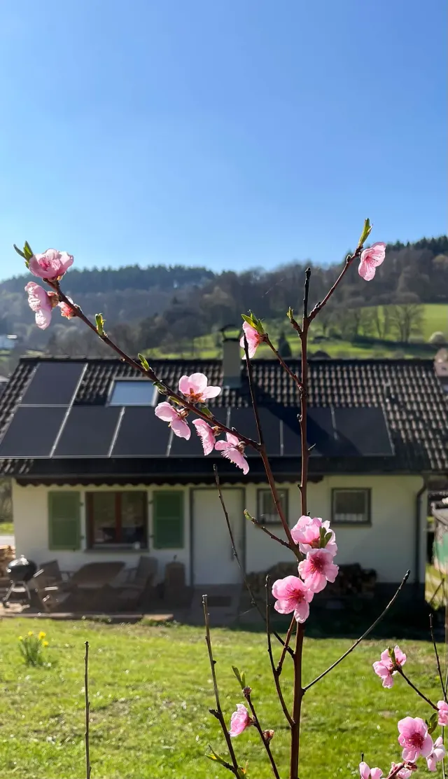 BookNoFees tatil evi: Allemühl – Allemühl Tatil Evi – sadece size ait bir ev!